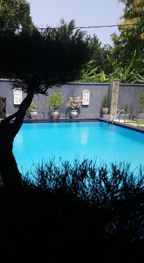 Mias Jungle House Hotel Lovina  Exterior photo
