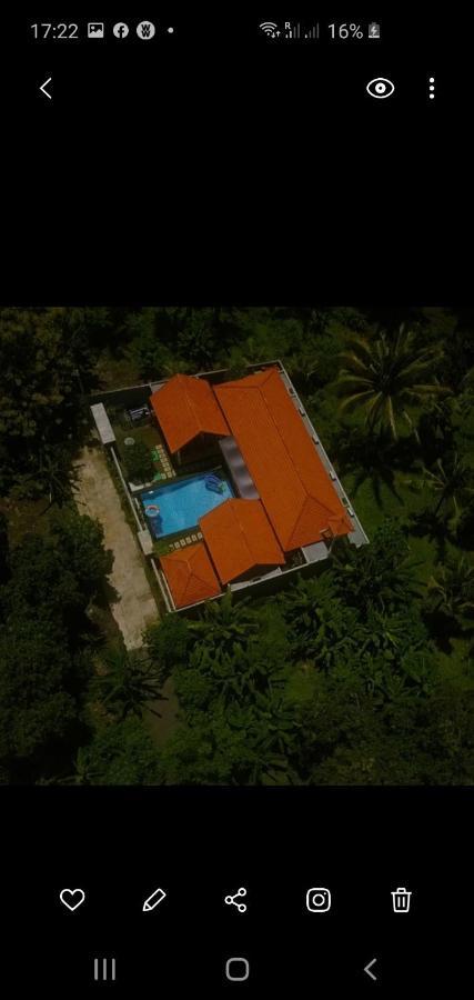 Mias Jungle House Hotel Lovina  Exterior photo